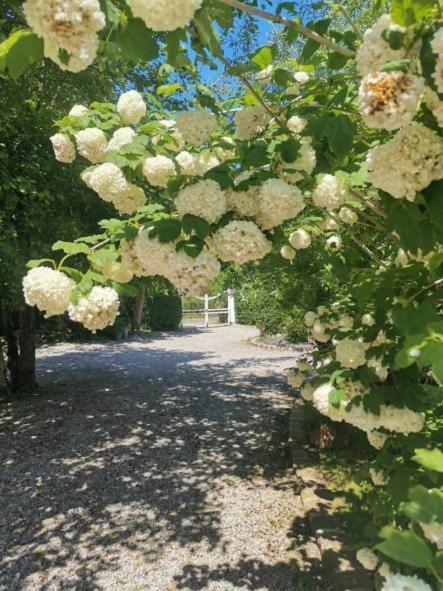 Le Clos De La Rose Gite Bien Etre Wirwignes المظهر الخارجي الصورة