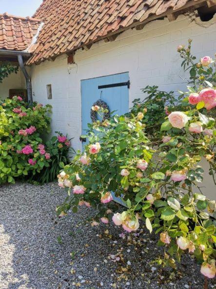 Le Clos De La Rose Gite Bien Etre Wirwignes المظهر الخارجي الصورة